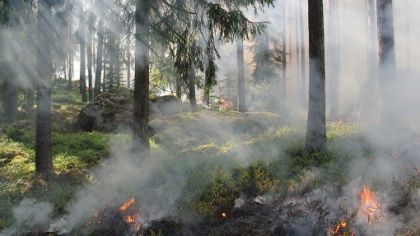 Prevenzione rischio incendi boschivi periodo di massima pericolosità Prevenzione rischio incendi boschivi periodo di massima pericolosità