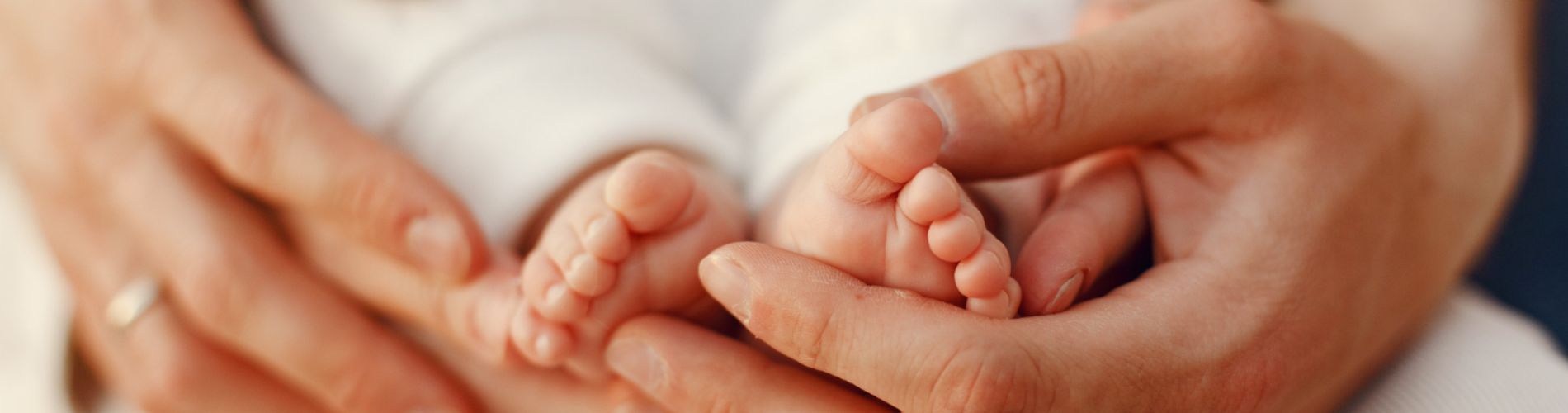 Ufficio Anagrafe, Stato Civile, Elettorale