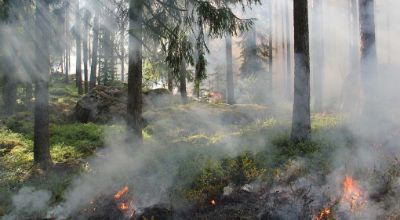 incendi
